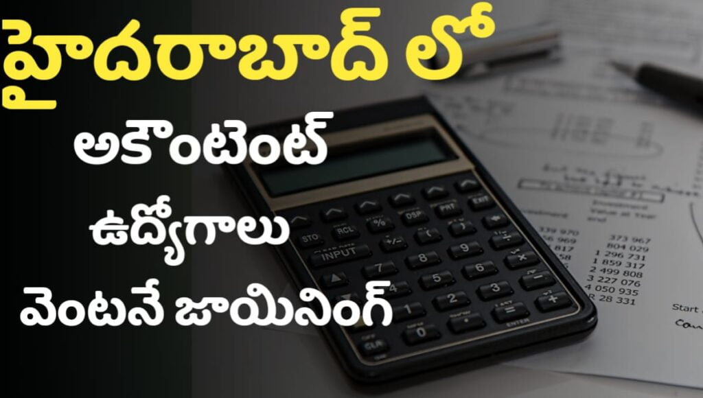 Accountant Jobs 2024 UG Candidates can Apply