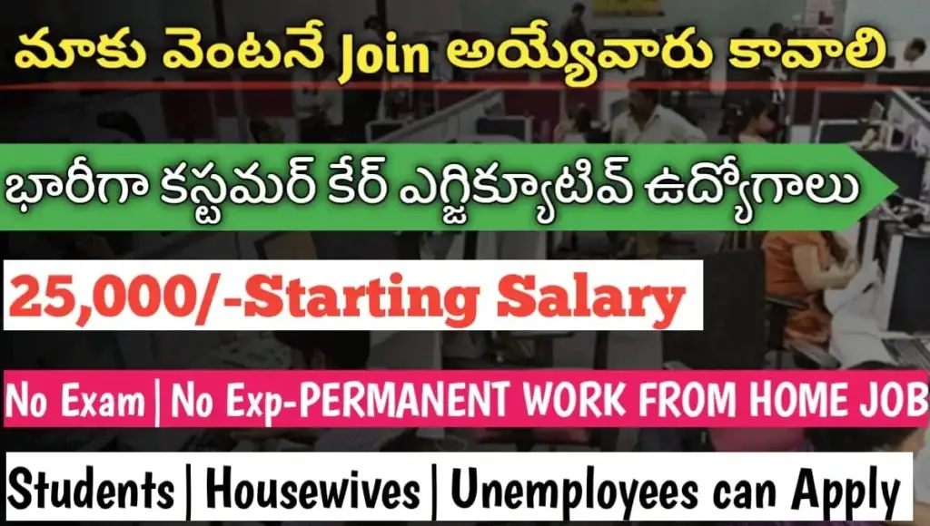 Permanent Work From Home Jobs 2024 | చక్కగా ఇంటి నుంచి పని చేయండి | Mekyek Recruitment 2024 Permanent Work From Home Jobs 2024